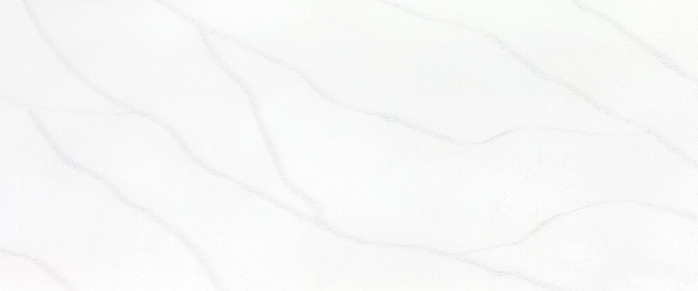 SNOW VM-002