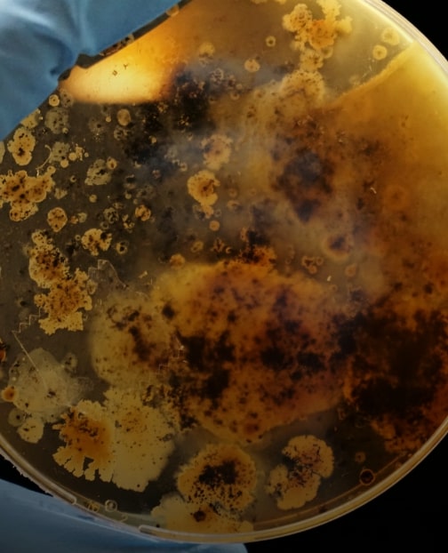 NONPOROUS